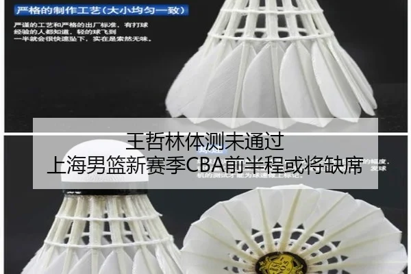 王哲林体测未通过 上海男篮新赛季CBA前半程或将缺席